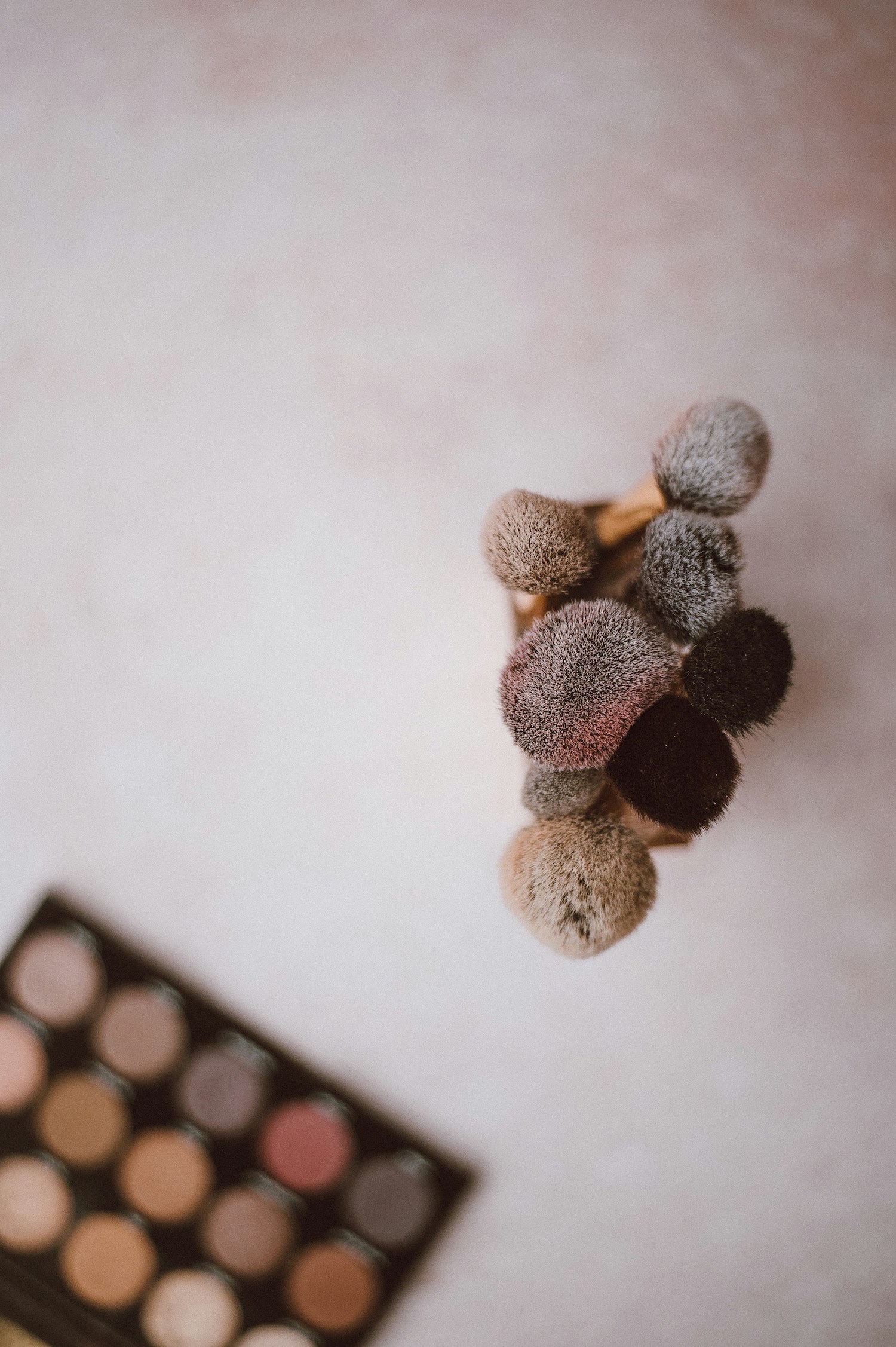annie-spratt-dDNnVA2Cc5I-unsplash